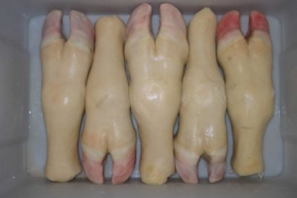 Frozen Beef Feet