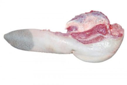 Frozen Beef Tongue