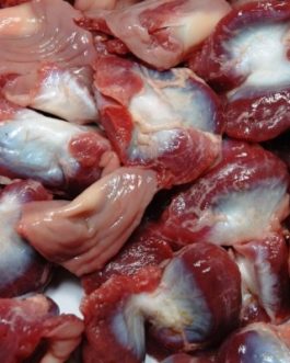 Frozen Chicken Gizzard