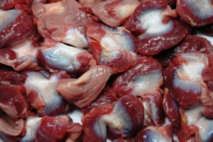 Frozen Chicken Gizzard