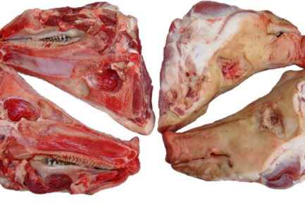 Buy Frozen Pork heads