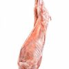 Halal Fresh Whole Lamb Carcass