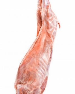 Halal Fresh Whole Lamb Carcass