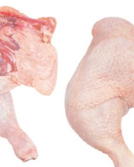 Halal Frozen Chicken Leg