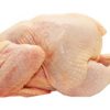 Halal Frozen Whole Chicken Grade A