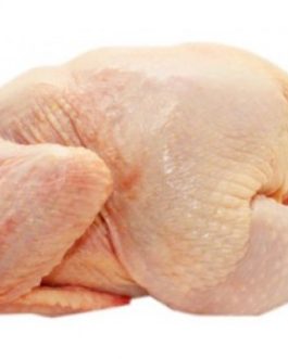 Halal Frozen Whole Chicken Grade A