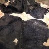 Wet salted Cow Hides